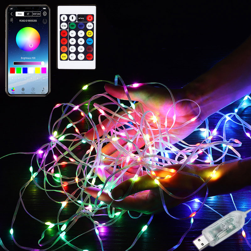 http://www.superlightingled.com/images/led%20string%20lights/RF-Bluetooth-USB-Color-Chasing-LED-Fairy-String-Lights.jpg