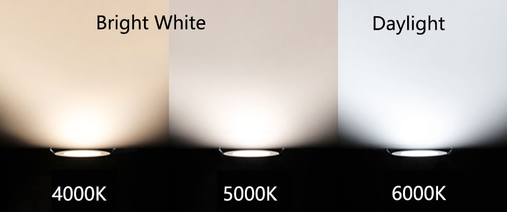 What are Warm White, Soft White, Cool White, and Daylight Light