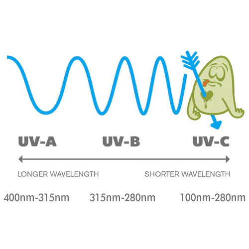 Does UV Light Kill Mold?