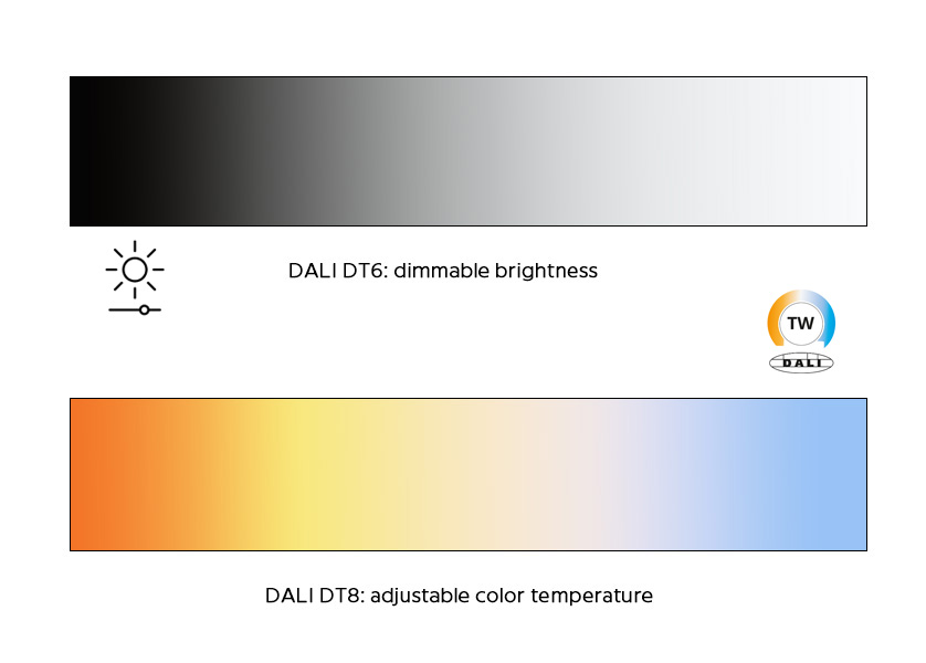 A clear comparison of DALI DT6 and DALI DT8 lighting