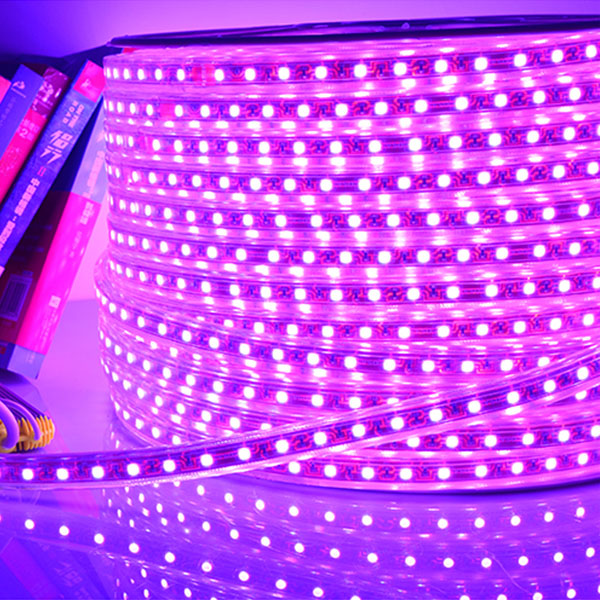 Multi-Colors Non-Waterproof SkyLight 12V Flexible SMD 5050 RGB LED Strip Lights Color Changing Pack of 16.4ft/5m Strips lumiland 300 LEDs LED Tape Light Strips
