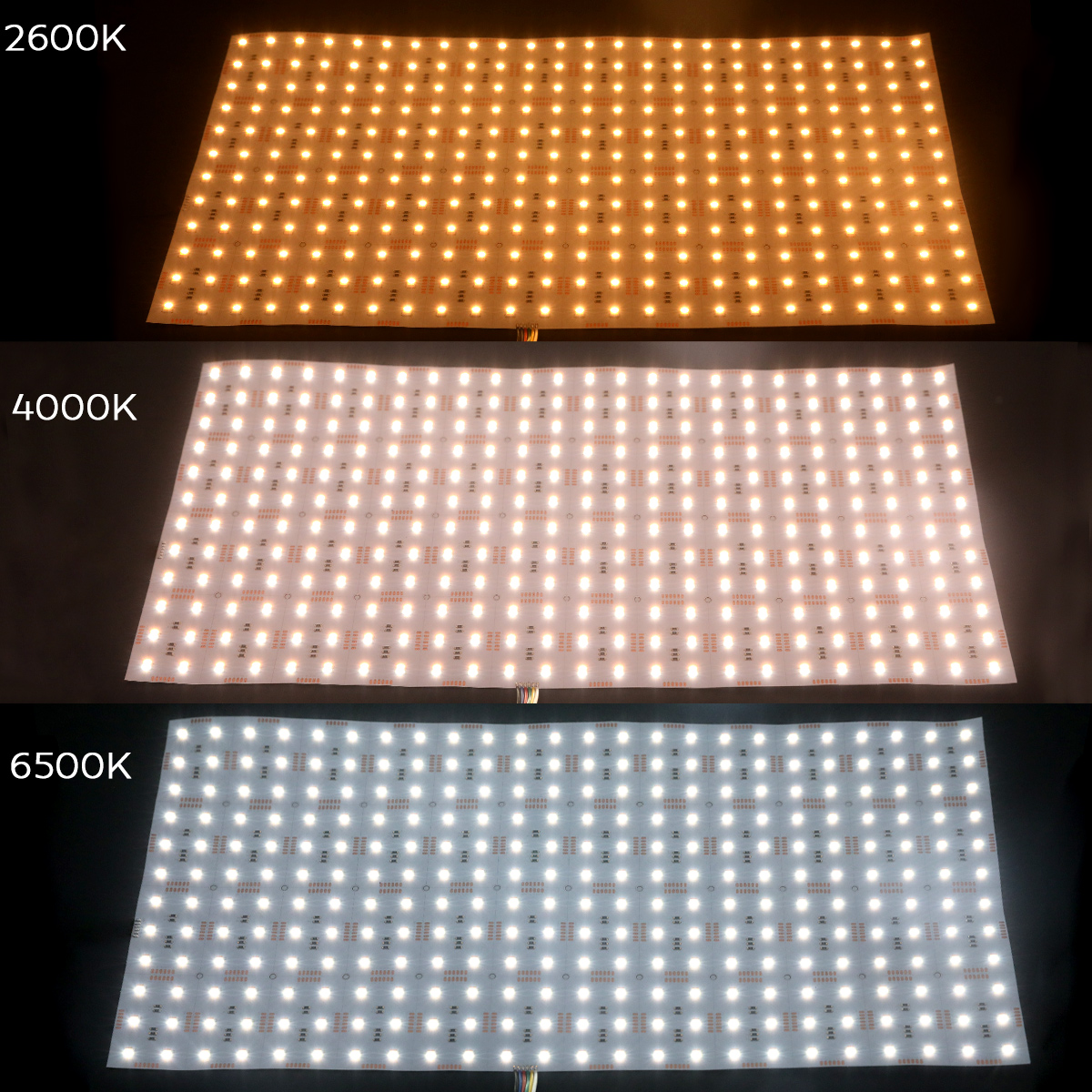 24V 5-In-1 5050 RGBCCT Color Changing Flexible LED Sheet 24X12 24V 5-In-1 5050 RGBCCT Color Changing Flexible LED Sheet 24X12