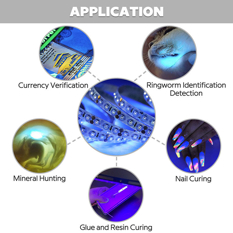 365nm UV LED Strip Lights Applications