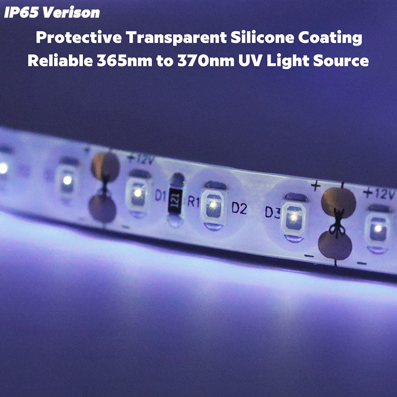 IP65 UV LED Details